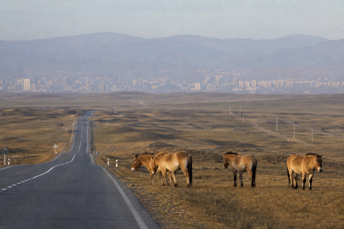 An empty paved road heading west out of Ulaanbaatar into open steppe in the pale light of early morning, the city skyline receding behind