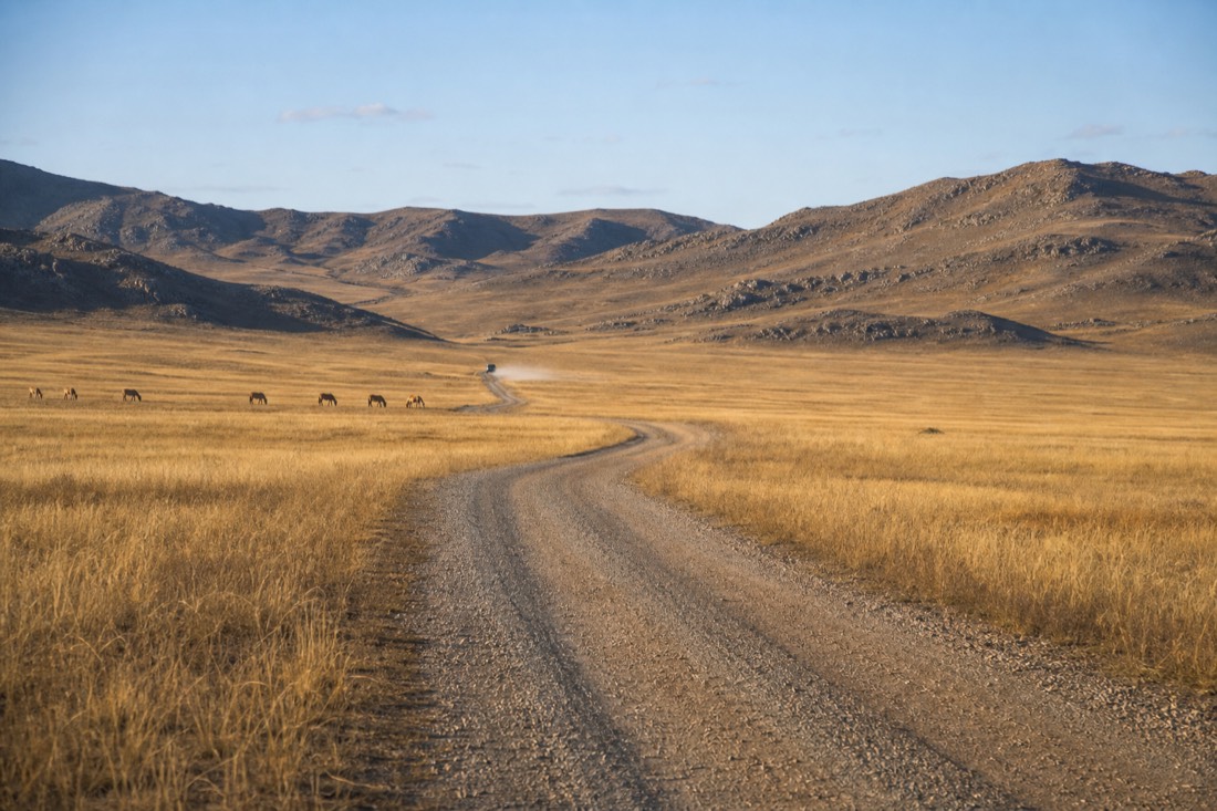A gravel road cutting through golden late-afternoon steppe grassland leading toward the hills of Hustai National Park, with a faint dust trail behind a distant vehicle and no people visible